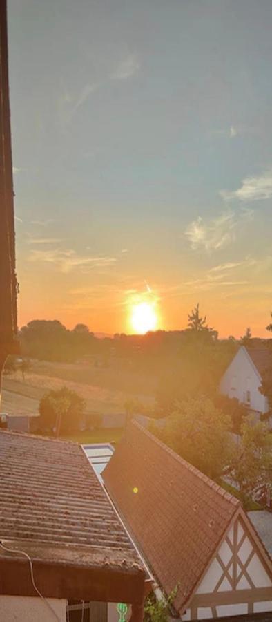 Апартаменти Urlaub Am Rhein Speyer Hockenheim Altlussheim Екстер'єр фото