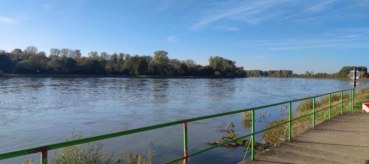 Апартаменти Urlaub Am Rhein Speyer Hockenheim Altlussheim Екстер'єр фото